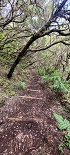 Plants: image 65 Of 208 Thumb